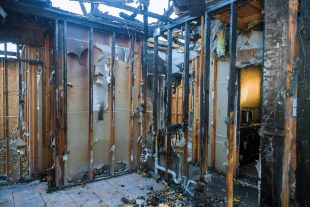 Professional Fire Damage Removal technician working in Rexland Acres, CA
